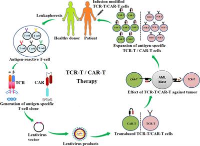 Antigen-Specific TCR-T Cells for Acute Myeloid Leukemia: State of the Art and Challenges